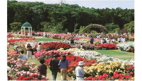 京成バラ園（イメージ）
