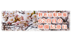 開園62周年を迎える野毛山動物園