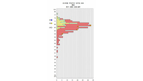 2013年入試結果グラフ（開成）