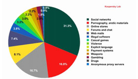 子どもたちがもっともアクセスを試みたWebサイト（2013年1～5 月）