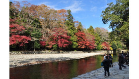 「2013年紅葉が美しい観光スポットランキング」1位に選ばれた「伊勢神宮内宮」（三重県）