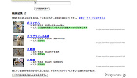 被災した動物を探す検索画面