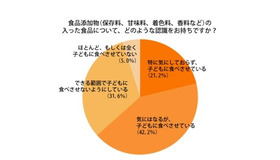 食品添加物の入った食品についての認識