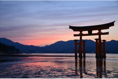 伏見稲荷大社や厳島神社…「外国人に人気の観光スポット2015」 画像