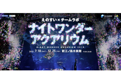 新江ノ島水族館×チームラボ、夜のスペシャルイベント12/25まで 画像