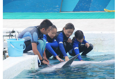 鴨川シーワールド、小5・6「水族館でトレーナー体験」9/1より参加者募集 画像