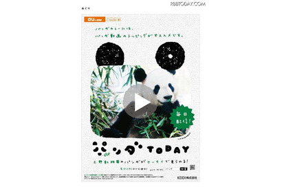 上野のパンダ動画を配信する「パンダ TODAY」、ゆかりの地にポスター掲出 画像