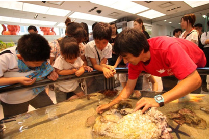 銀座ソニービル、「44th SonyAquarium 3D沖縄美ら海水族館」8/31まで 画像