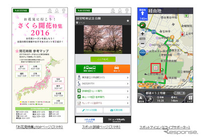 ナビタイム、さくら開花特集を公開…7段階で毎日更新 画像