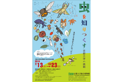 昆虫学の最前線を紹介、京大博物館「虫を知りつくす」7/13-10/23 画像