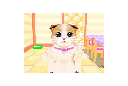 2匹ならではのお世話が楽しめる「かわいい子猫DS3」公式サイト 画像