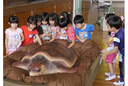 鴨シー「ウミガメ移動教室」千葉県内の学校対象に4/10より予約受付開始 画像