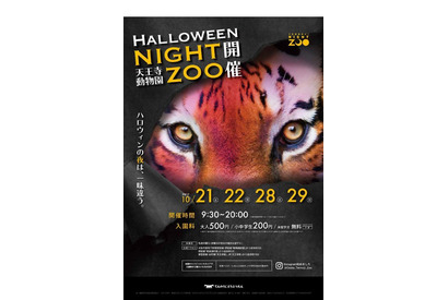 10月は「ハロウィンナイトZOO」天王寺動物園で夜の動物たちを楽しもう 画像