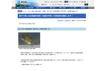 愛知県の小学生親子対象「金魚の学校」応募は6/15まで 画像