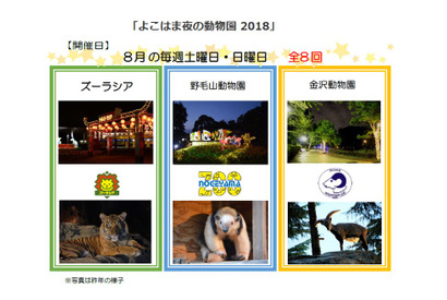 【夏休み2018】横浜「夜の動物園」ズーラシア・野毛山・金沢動物園の日程と内容 画像
