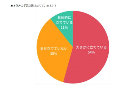 冬休み、中学受験を目指す家庭の8割が達成したいことは？ 画像