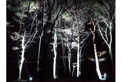 子どもも大人も夜の森を楽しめる空中アスレチック「YOZARU」那須 画像