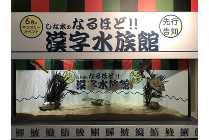 魚偏の漢字の由来は？しながわ水族館で漢字水族館6月 画像