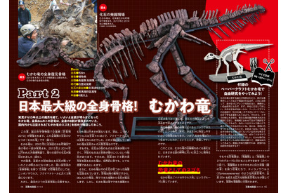 【自由研究】日本最大級の全身骨格「むかわ竜」のスゴさ 画像