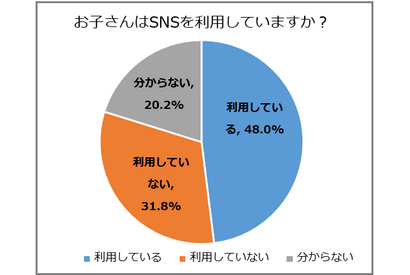 子どものSNSトラブル、最多は「ネットいじめ」34％ 画像