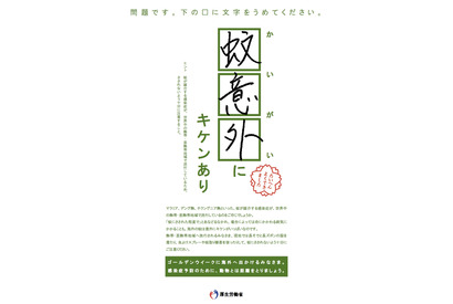 【GW】「蚊意外にキケンあり」海外旅行での感染症に注意…厚労省 画像