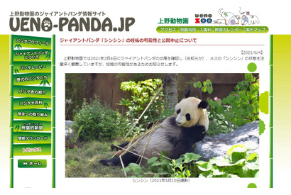 上野動物園パンダ「シンシン」2頭出産 画像