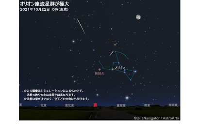 オリオン座流星群が10/21極大…深夜から明け方が見ごろ 画像