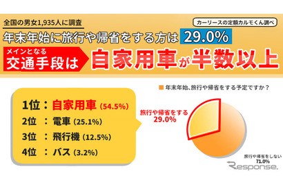 年末年始の旅行や帰省、半数以上が「自家用車」利用 画像