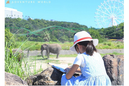 【夏休み2022】動物や自然環境学ぶイベント…アドベンチャーワールド 画像