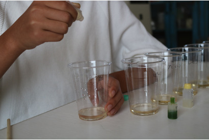 【自由研究2022】1日でできる！自由研究テーマ10選＜中学生向け＞ 画像