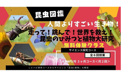 こどハピ、昆虫と植物「サイエンス探究学コース」無料体験 画像