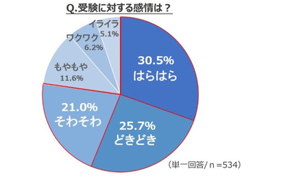 【大学受験】高3生、受験に対する感情「はらはら」「どきどき」 画像