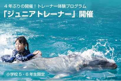 イルカと泳ぐトレーナー体験、小5-6対象…鴨川シーワールド 画像