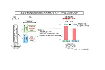 卵アレルギー、産後すぐの母親の卵摂取に関係なし 画像