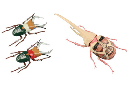 自由研究シリーズ「進撃の巨人」昆虫プラモデル登場 画像