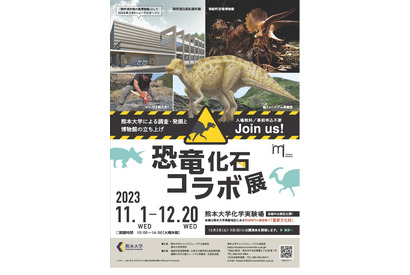 熊本大「恐竜化石コラボ展」入場無料、12/20まで 画像