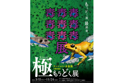 サンシャイン水族館の毒生物展「もうどく展 きわみ」3-11月 画像