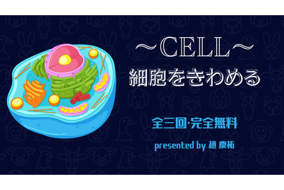 スコラボ、小中学生向け「～CELL～ 細胞をきわめる」開講 画像