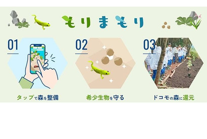 ドコモ、生物多様性保全ゲーム「もりまもり」9/30まで 画像