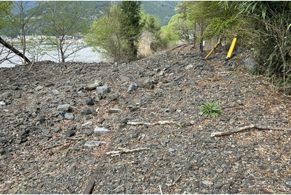 大井川鐵道、被災区間見学ツアー5/11・18 画像