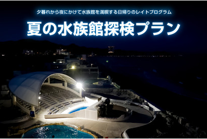 【夏休み2024】鴨川シーワールド「夏の水族館探検プラン」 画像