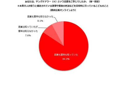 目標や夢「あきらめざるを得ない」ヤングケアラー調査 画像