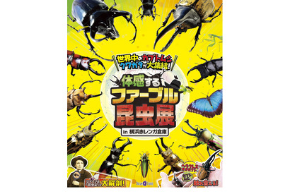 【夏休み2024】体感するファーブル昆虫展、7/13-8/25横浜 画像