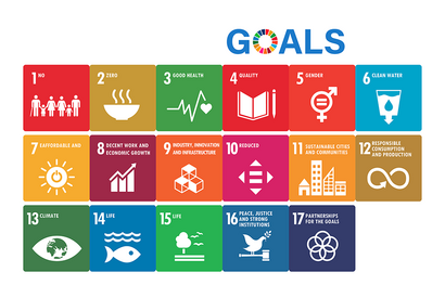 SDGs「ジェンダー平等の実現」認知と重要度にギャップ 画像
