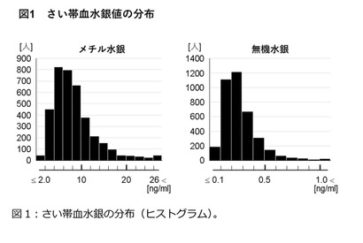 胎児期の水銀ばく露、子供の発達に影響なし…エコチル調査 画像