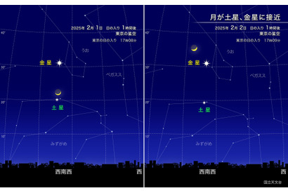 月と土星・金星が接近…2025年2月上旬 画像