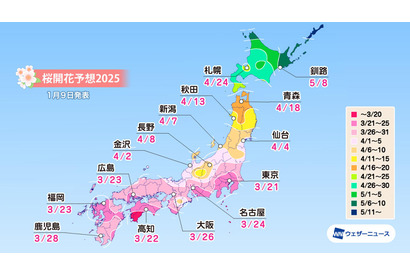 桜開花、3/21東京から開始…北日本は早まる予想 画像