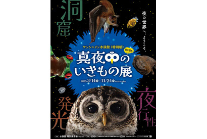 サンシャイン水族館、真夜中の生き物展 画像