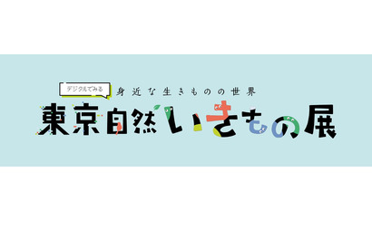 デジタルでみる「東京自然いきもの展」4/12から巡回展示 画像