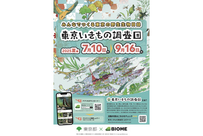 【夏休み2025】アプリで参加「東京いきもの調査団 夏編」9/16まで 画像
